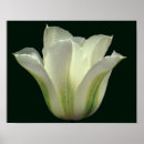 Recherche de rayure florale art Nature