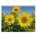 Recherche de coloré calendriers Bleu