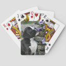 Recherche de boxer jeux de cartes Bob and pam langrish