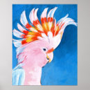 Zoek naar roze neon posters Exotische vogels