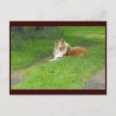 Recherche de printemps cartes postales Salutations