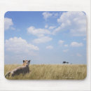 Recherche de kenya tapis souris Dehors