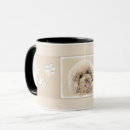 Recherche de caniche abricot tasses Dog