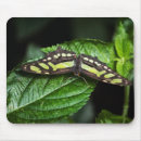Recherche de malachite tapis souris Papillon