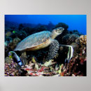 Recherche de scaphandre posters Océan