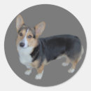 Recherche de gallois autocollants Corgi de pembroke