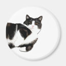 Recherche de salutation magnets Chat