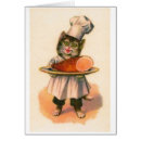 Recherche de chef de chat de minou Chaton