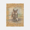 Recherche de licou Chevaux