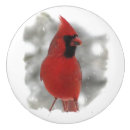 Recherche de oiseau rouge boutons et poignées de porte Animaux