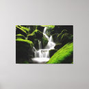 Recherche de belle cascade photographie Voyage