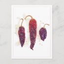 Recherche de poivre piment cartes postales Rouge