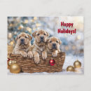 Recherche de shar pei cartes postales Chiots