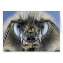 Zoek naar ongewervelden briefkaarten Close up uitzicht