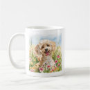 Recherche de poil tasses Pour animaux