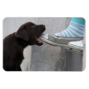 Recherche de mange magnets Drôle