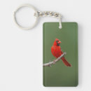 Recherche de cardinal du nord accessoires Faune