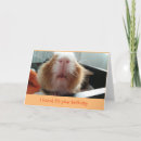 Zoek naar varken verjaardagskaarten Schattig