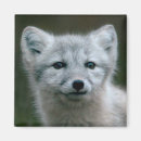 Recherche de kit magnets Nature