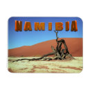 Zoek naar namib magneten Droog