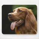 Recherche de profil tapis souris De près