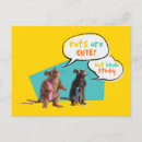 Zoek naar stinkend Gezelschapsdieren