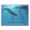 Recherche de baleine calendriers Mer