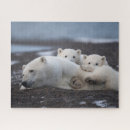 Recherche de board photography games Autumn