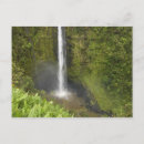 Recherche de hawaï cartes postales Tropical