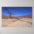 Zoek naar namib posters Woestijn