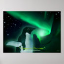 Recherche de penguin posters Birds