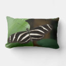 Recherche de joli papillon coussins Insecte