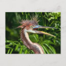 Recherche de tri cartes postales Nature
