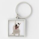 Recherche de bull terrier porteclés Animal