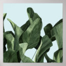 Recherche de feuille palmier posters Palmiers