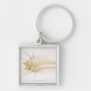 Recherche de pointu porteclés Nature