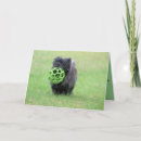 Recherche de de terrier de cairn cartes postales Animal de compagnie