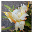 Recherche de dragon carreaux Floral