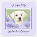 Recherche de chiot labrador autocollants Noir