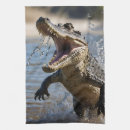 Recherche de crocodile cuisine linges Reptile