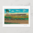 Recherche de races de cheval cartes postales Lanterne