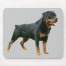 Zoek naar rottweilers muismatten Rottie