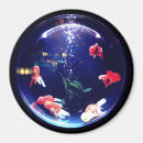 Recherche de poisson rouge magnets Aquarium