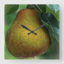 Recherche de fruit horloges Feuille