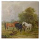 Recherche de beau cheval carreaux Pâturage