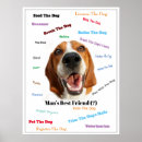 Recherche de beagles mignons posters Drôle