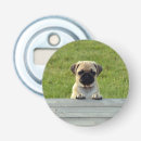 Recherche de carlin ouvre bouteilles Chiot