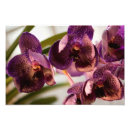 Zoek naar lichtgevende posters Bloemen