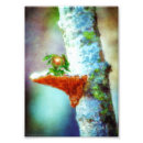 Recherche de dragon vert posters Blanc