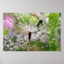 Recherche de galerie posters Motif